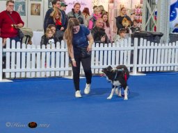 Haustiermesse am 1.03.2026